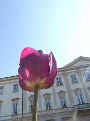 Day06 (119)